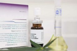 Registrado primeiro medicamento à base de Cannabis sativa