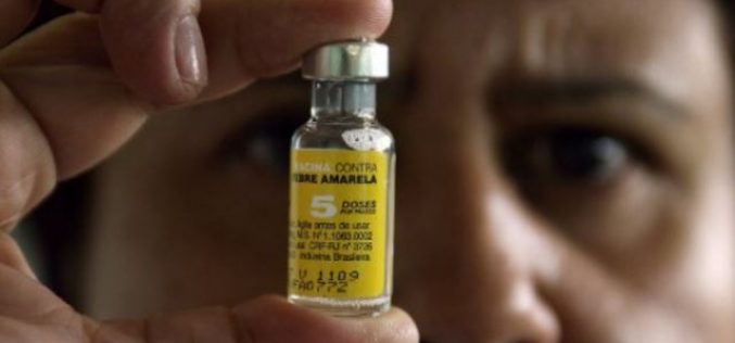 Ministério da Saúde atualiza casos de febre amarela no país