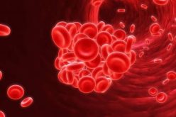 Dia do hemofílico: mitos e verdades sobre a doença