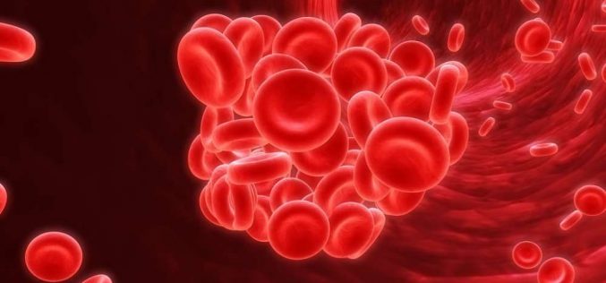 Dia do hemofílico: mitos e verdades sobre a doença