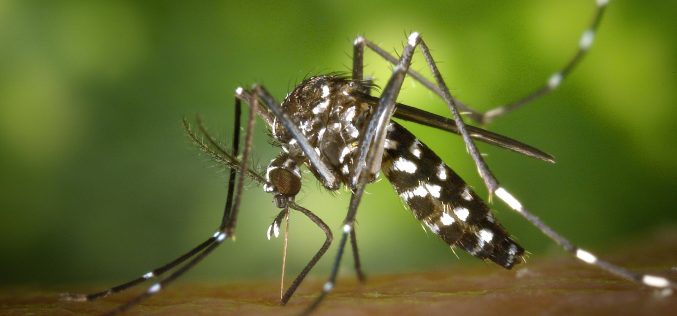 Sete Lagoas bate recorde de combate e prevenção à Dengue