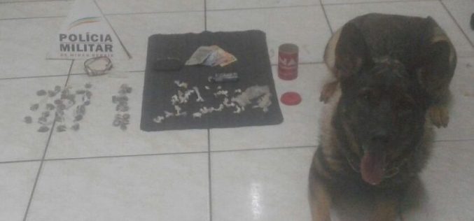 Polícia Militar prende traficante no bairro Itapuã com auxílio de cão farejador