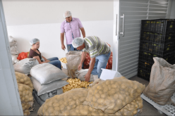 Banco de Alimentos da Prefeitura de Sete Lagoas entra em operação