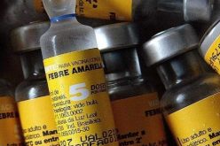 Vacinação contra a Febre Amarela na região da Serra Santa Helena