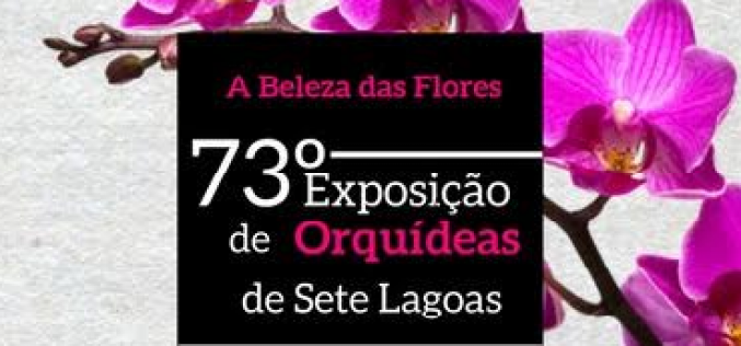 Exposição de Orquídeas chega ao Casarão nesta sexta-feira