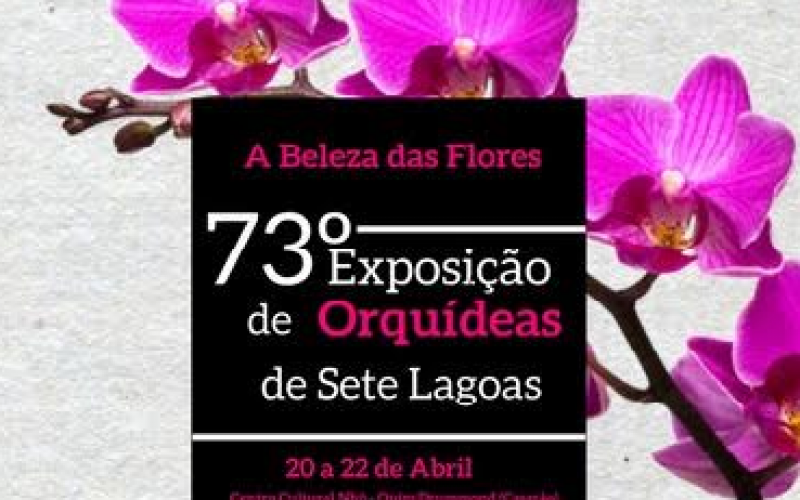 Exposição de Orquídeas chega ao Casarão nesta sexta-feira