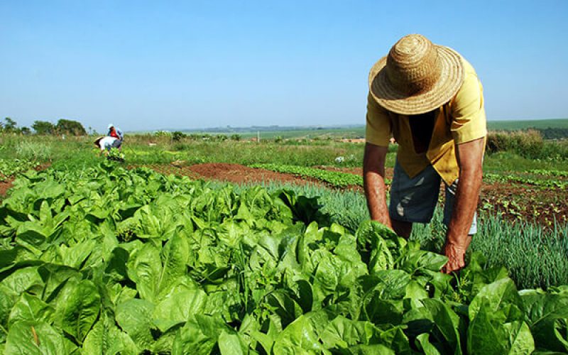 Ato em BH vai reunir 10 mil trabalhadores rurais contra a reforma da previdência