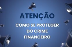 Golpes e Fraudes Contra Microempreendedores Individuais (MEIs): Como se Proteger do Crime Financeiro